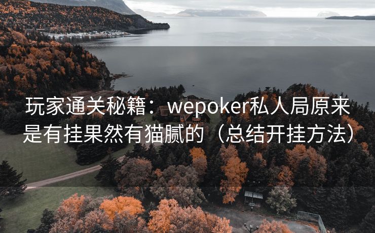 玩家通关秘籍：wepoker私人局原来是有挂果然有猫腻的（总结开挂方法）