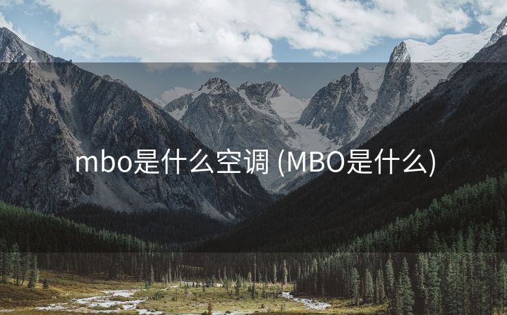 mbo是什么空调 (MBO是什么)