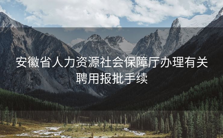 安徽省人力资源社会保障厅办理有关聘用报批手续