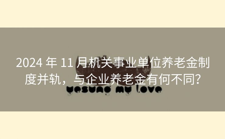 2024 年 11 月机关事业单位养老金制度并轨，与企业养老金有何不同？