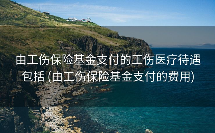 由工伤保险基金支付的工伤医疗待遇包括 (由工伤保险基金支付的费用)