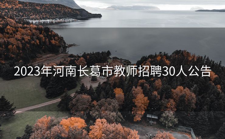 2023年河南长葛市教师招聘30人公告