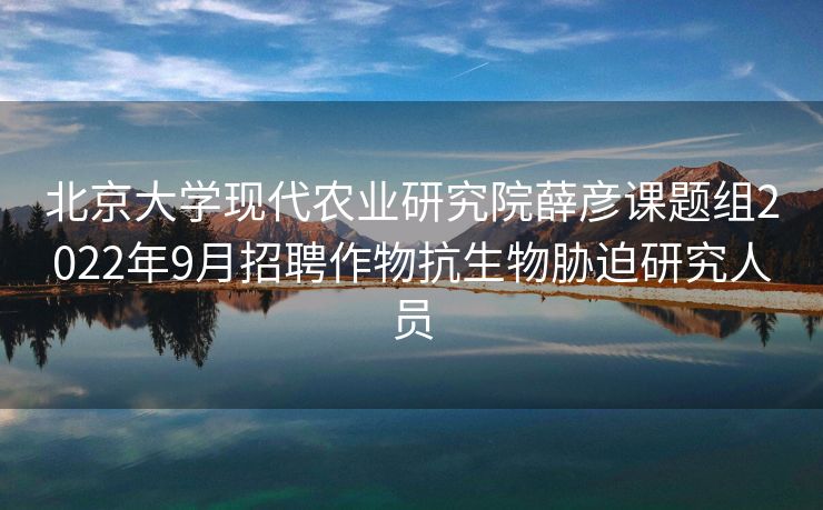 北京大学现代农业研究院薛彦课题组2022年9月招聘作物抗生物胁迫研究人员