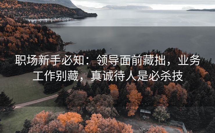 职场新手必知：领导面前藏拙，业务工作别藏，真诚待人是必杀技