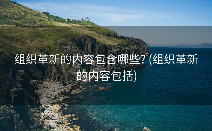 组织革新的内容包含哪些? (组织革新的内容包括)