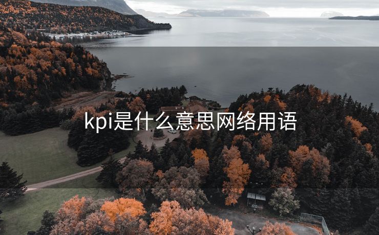 kpi是什么意思网络用语