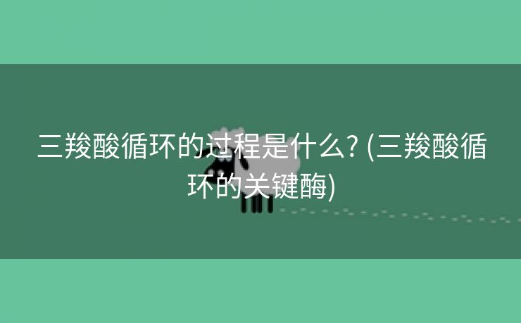 三羧酸循环的过程是什么? (三羧酸循环的关键酶)