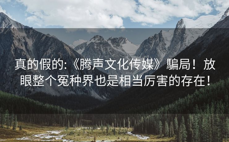 真的假的:《腾声文化传媒》騙局！放眼整个冤种界也是相当厉害的存在！