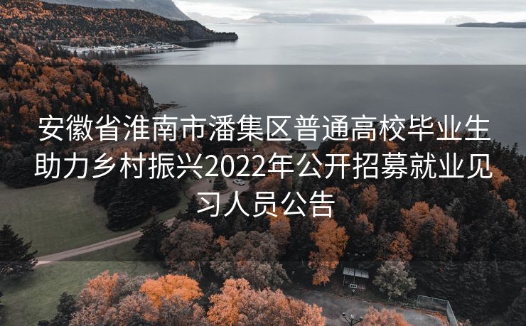 安徽省淮南市潘集区普通高校毕业生助力乡村振兴2022年公开招募就业见习人员公告