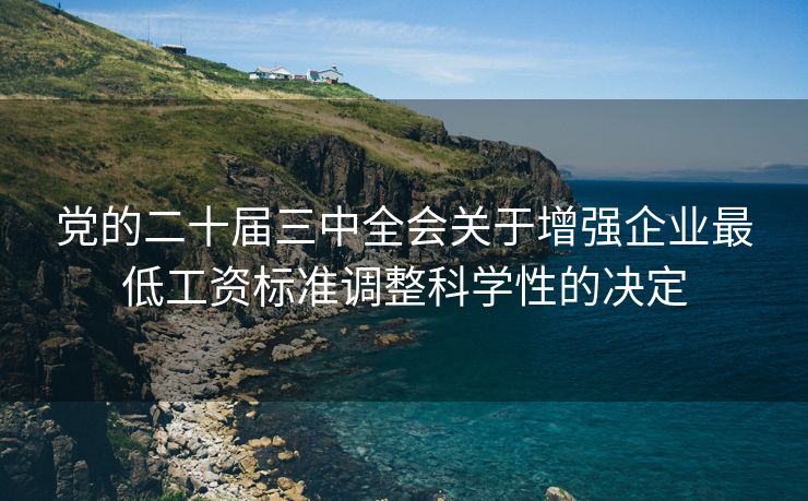 党的二十届三中全会关于增强企业最低工资标准调整科学性的决定