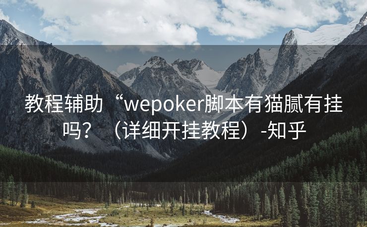 教程辅助“wepoker脚本有猫腻有挂吗？（详细开挂教程）-知乎