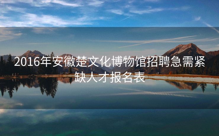 2016年安徽楚文化博物馆招聘急需紧缺人才报名表