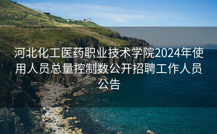 河北化工医药职业技术学院2024年使用人员总量控制数公开招聘工作人员公告