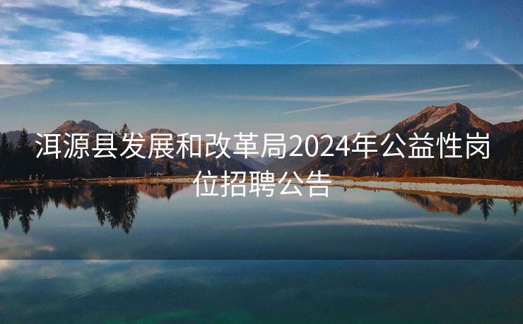 洱源县发展和改革局2024年公益性岗位招聘公告