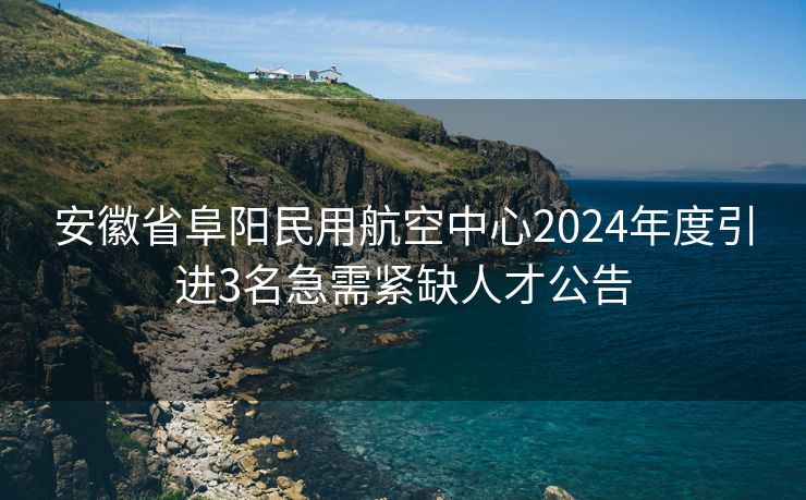 安徽省阜阳民用航空中心2024年度引进3名急需紧缺人才公告