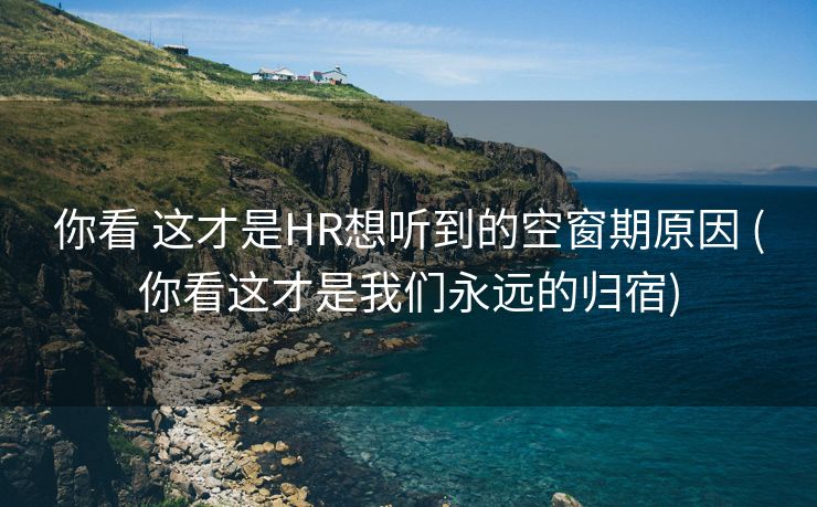 你看 这才是HR想听到的空窗期原因 (你看这才是我们永远的归宿)