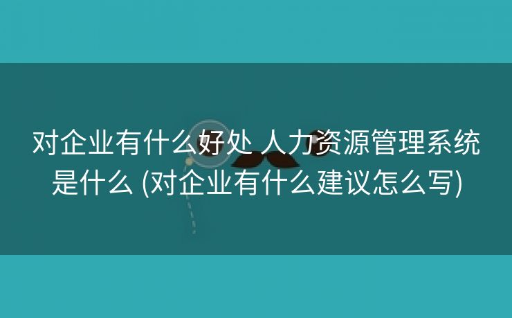 对企业有什么好处 人力资源管理系统是什么 (对企业有什么建议怎么写)