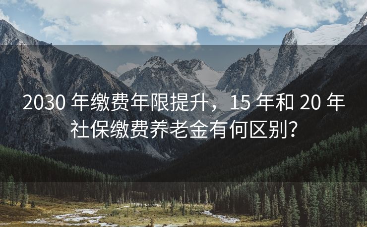 2030 年缴费年限提升，15 年和 20 年社保缴费养老金有何区别？