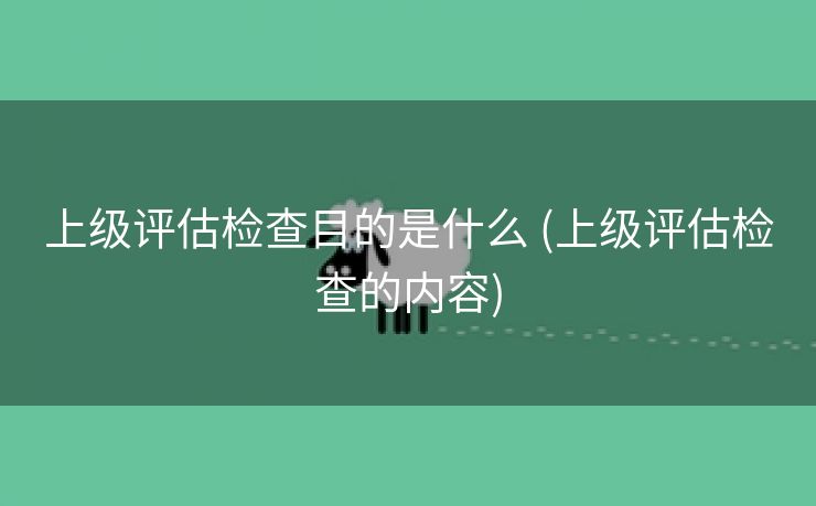 上级评估检查目的是什么 (上级评估检查的内容)