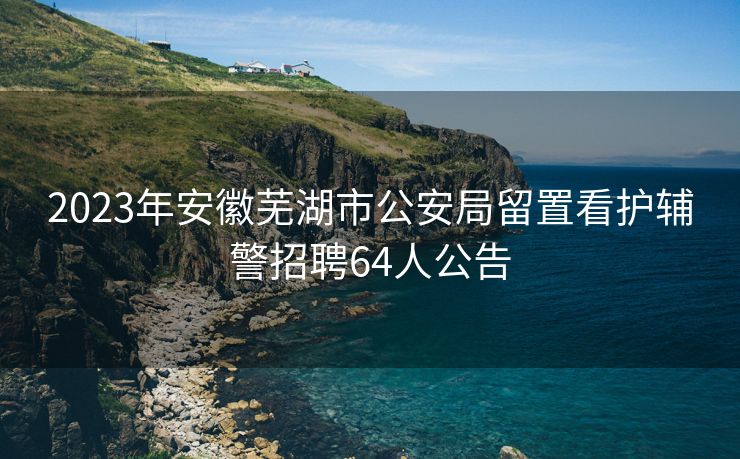 2023年安徽芜湖市公安局留置看护辅警招聘64人公告