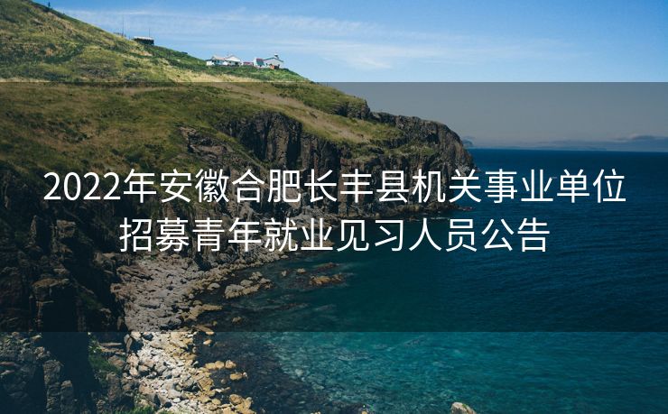 2022年安徽合肥长丰县机关事业单位招募青年就业见习人员公告