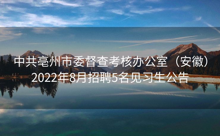 中共亳州市委督查考核办公室（安徽）2022年8月招聘5名见习生公告