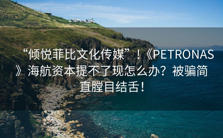 “倾悦菲比文化传媒”!《PETRONAS》海航资本提不了现怎么办？被骗简直膛目结舌！