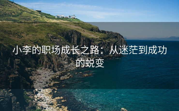 小李的职场成长之路：从迷茫到成功的蜕变