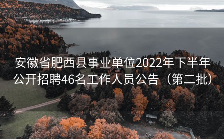 安徽省肥西县事业单位2022年下半年公开招聘46名工作人员公告（第二批）