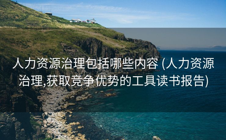 人力资源治理包括哪些内容 (人力资源治理,获取竞争优势的工具读书报告)