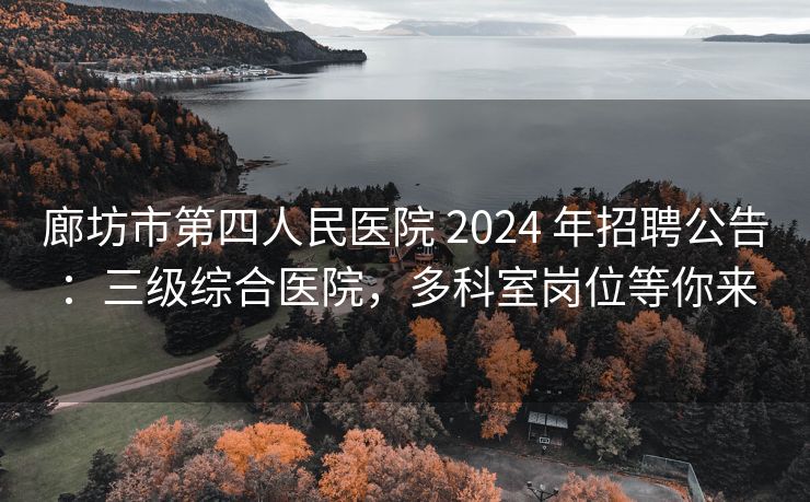 廊坊市第四人民医院 2024 年招聘公告：三级综合医院，多科室岗位等你来