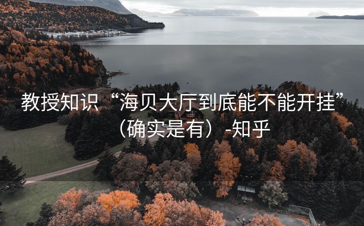 教授知识“海贝大厅到底能不能开挂”（确实是有）-知乎