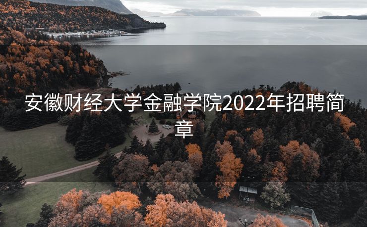 安徽财经大学金融学院2022年招聘简章