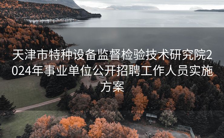 天津市特种设备监督检验技术研究院2024年事业单位公开招聘工作人员实施方案