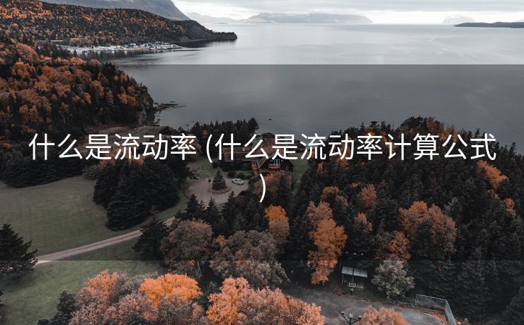 什么是流动率 (什么是流动率计算公式)