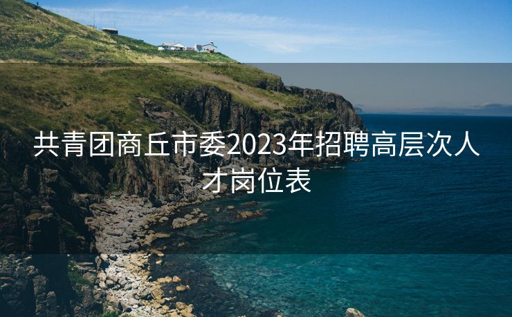 共青团商丘市委2023年招聘高层次人才岗位表