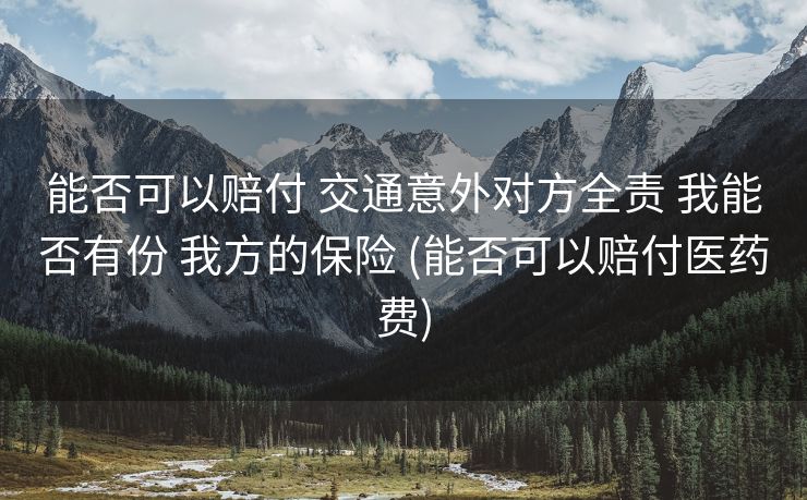 能否可以赔付 交通意外对方全责 我能否有份 我方的保险 (能否可以赔付医药费)