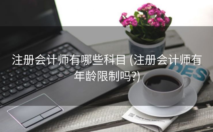 注册会计师有哪些科目 (注册会计师有年龄限制吗?)