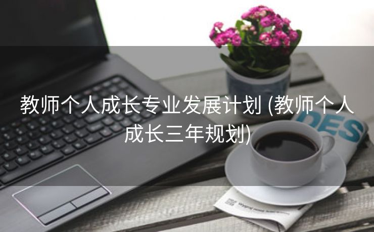 教师个人成长专业发展计划 (教师个人成长三年规划)