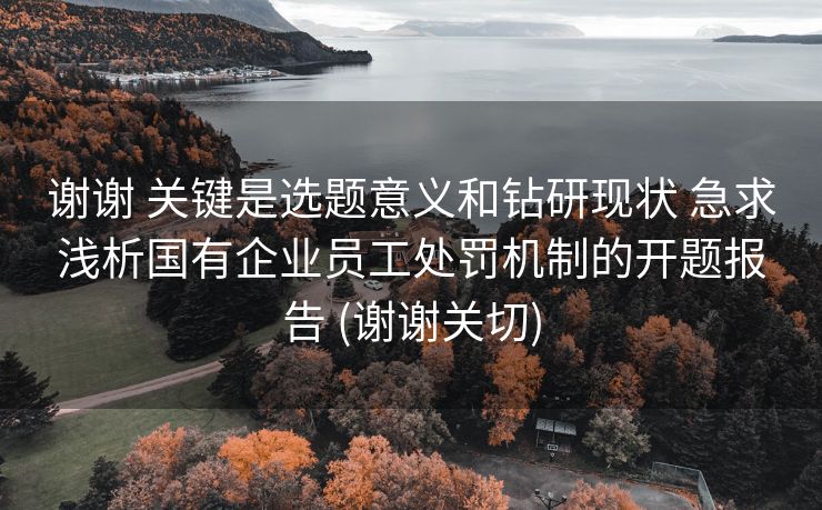 谢谢 关键是选题意义和钻研现状 急求浅析国有企业员工处罚机制的开题报告 (谢谢关切)