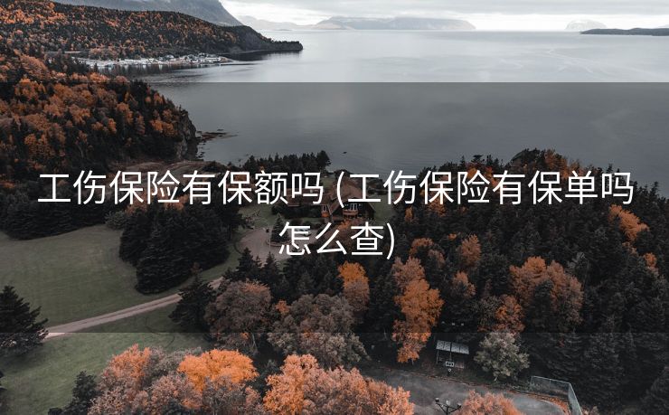 工伤保险有保额吗 (工伤保险有保单吗怎么查)