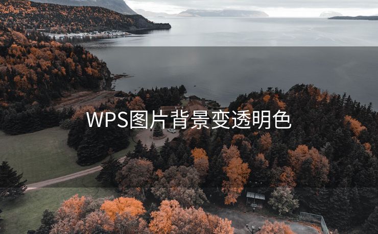 WPS图片背景变透明色