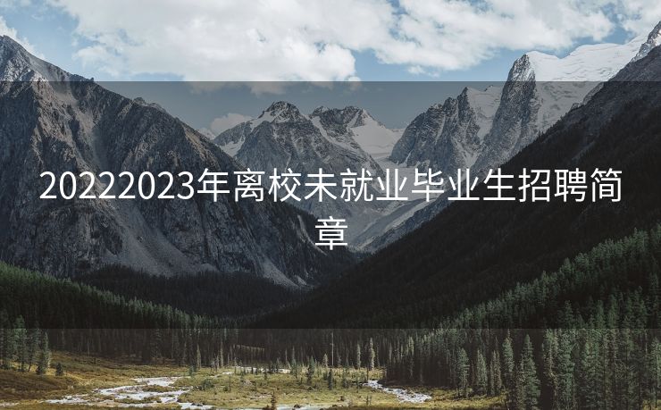 20222023年离校未就业毕业生招聘简章