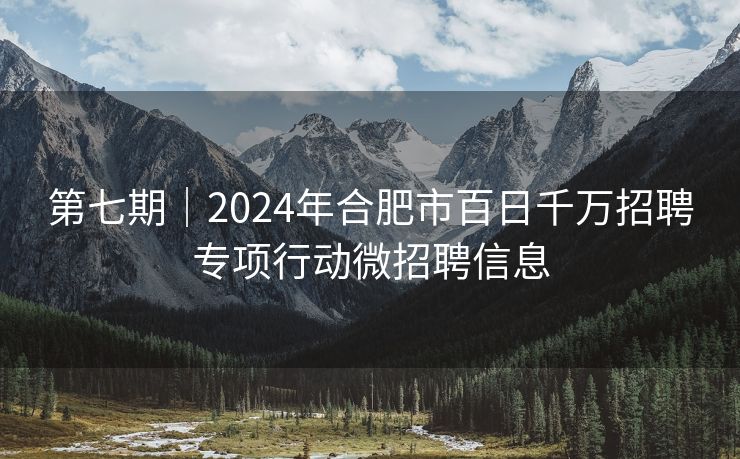 第七期｜2024年合肥市百日千万招聘专项行动微招聘信息