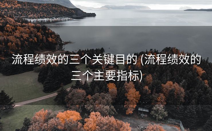 流程绩效的三个关键目的 (流程绩效的三个主要指标)