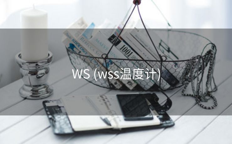 WS (wss温度计)