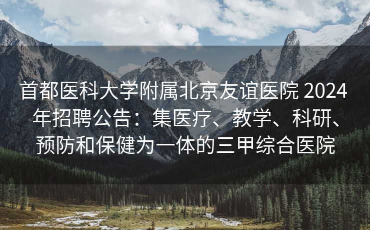 首都医科大学附属北京友谊医院 2024 年招聘公告：集医疗、教学、科研、预防和保健为一体的三甲综合医院