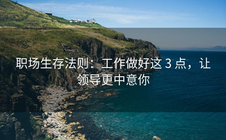 职场生存法则：工作做好这 3 点，让领导更中意你