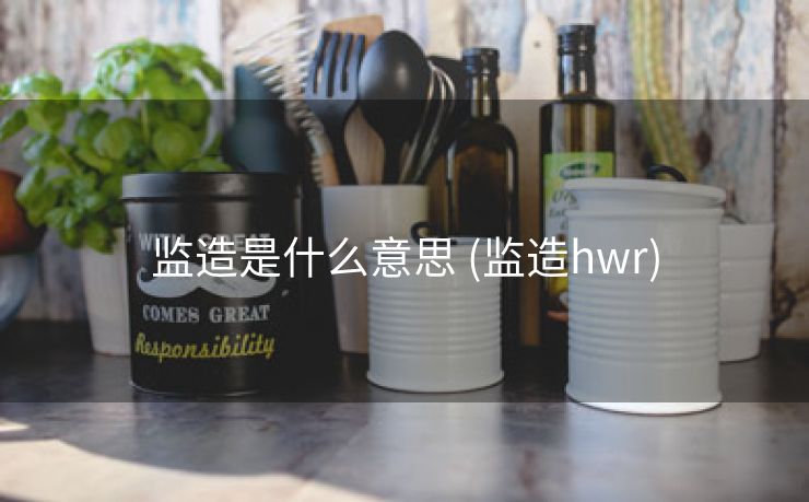 监造是什么意思 (监造hwr)