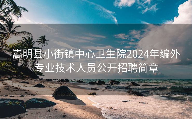 嵩明县小街镇中心卫生院2024年编外专业技术人员公开招聘简章